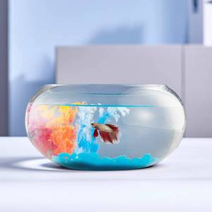 lot 3697 image: 2 Gallon Glass Fish Bowl with Decor, Include Fluorescent Stones & Colorful Plastic Trees, High White Glass for Clear View, Small Fish BowlVaseAquarium for Betta FishGoldfish, Nice Home D�cor