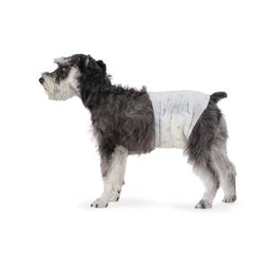 lot 3921 image: Amazon Basics Male Dog Diapers, Super Absorbent Disposable Wrap with Leak-Proof Protection, Wetness Indicator, Secure Fit, Breathable, Medium, 50 Count