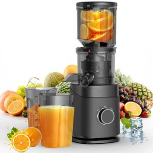 lot 6013 image: Juicer Machines, Cold Press Juicer Professional for Maximum Nutrients & High Yield, Ultra-Quiet Motor Efficient with Leafy Greens to Hard Vegetables, Easy to Clean Design, Black
