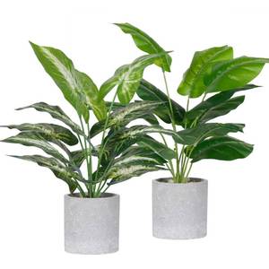 lot 3502 image: Der Rose 2 Pack Fake Plants Artificial Tropical Faux Plants Indoor for Office Desk Home Sage Green Decor