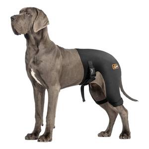 lot 4075 image: Dog Hip Brace with HotCold Compress, Support for Hip Dysplasia, Arthritis, Back Leg limping, Prevents Hip Joint Issues, Reduce Hip Pain etc(Female Dog, XXL)