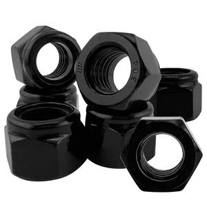 lot 4218 image: MateIJS 20Pcs 716-14 Black Nylon Lock Nuts, 304 Stainless Steel Nylon Insert Locknuts, A2-70 Grade Hex Nylock Nuts, Black Oxide Coarse Thread for Automotive & Machinery