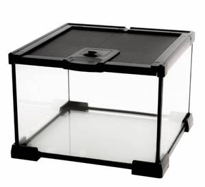 lot 6339 image: AWXZOM Mini Reptile Glass Terrarium Tank, cage for Tarantula Sling Geckos, Frog, Lizards, Chameleons,Turtles Snake Snail Insect Hermit Crab Isopods Reptiles Enclosure (7.9x7.9x5.7inch)