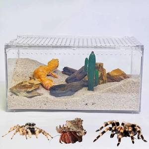 lot 6347 image: Mini Reptile Terrarium, 8 x 6x 4 Reptile Tank with Full View Visually Appealing, for Hermit Crab, Tarantula, Jumping Spider��Frog, Bearded Dragon, Iguana, Tortoise, Leopard Gecko, Insect, Fish