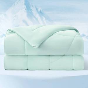 lot 11206 image: Bedsure Cooling Comforter Queen Size - Cooling Blankets for Hot Sleepers, Lightweight Comforter for Summer with Dual-Sided Cool Tech, Soft Breathable Cold Blanket for Sleeping, Green, 88x88 Inches