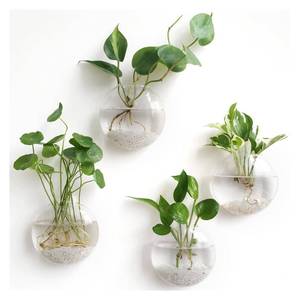 lot 19589 image: Mkono Wall Hanging Planter Propagation Station Glass Flower Vase for Hydroponics Plants, Bathroom, Home Office Living Room Decor Gift, Oblate Set of 4