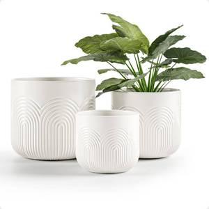 lot 3562 image: Ceramic Pots for Plants Set of 3 Sizes - 6, 5, 4 Inch Diameter Plant Pots with Drainage Holes - Ceramic Planters for Indoor Plants - Decorative Flower Pot - Plant Pot with Drainage - Indoor Planter
