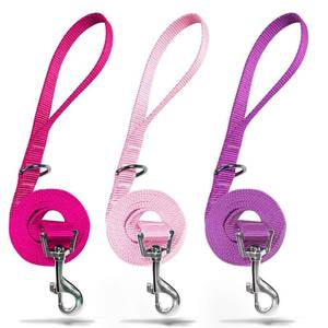 lot 4254 image: azuza 3 Pack Nylon Dog Leashes,Strong & Durable Basic Style Leash with Easy to Use Collar Hook,Available in Multiple Lengths for Small Dogs, Hot PinkPinkPurple