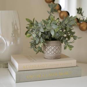 lot 6222 image: Beautiful Decorative Books - Set of 2 Linen Boxes Enhance Your Coffee Table, Bookshelf or Mantel Decor - Aesthetic FakeFaux Books for Modern Home Decoration, Photo Storage and as a Keepsake Box