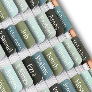 lot 12026 image: Mr. Pen- Bible Tabs, 75 Tabs, Frozen Lake Theme, Green Laminated Bible Tabs for Women and Men, Bible Tabs for Study Bible, Large Print Bible Index Tabs, Bible Book Tabs, Bible Labels Tabs