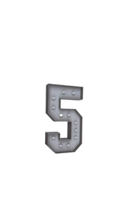 lot 19693 image: Number 5 LED Marquee Light 5-4mm