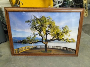 lot 5386055 image: 39.5 x 27.5 Wooden Frame - Retail $100