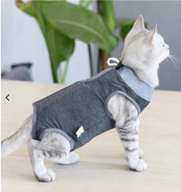lot 5386059 image: Cat Surgery Recovery Suit size M - Retail $20