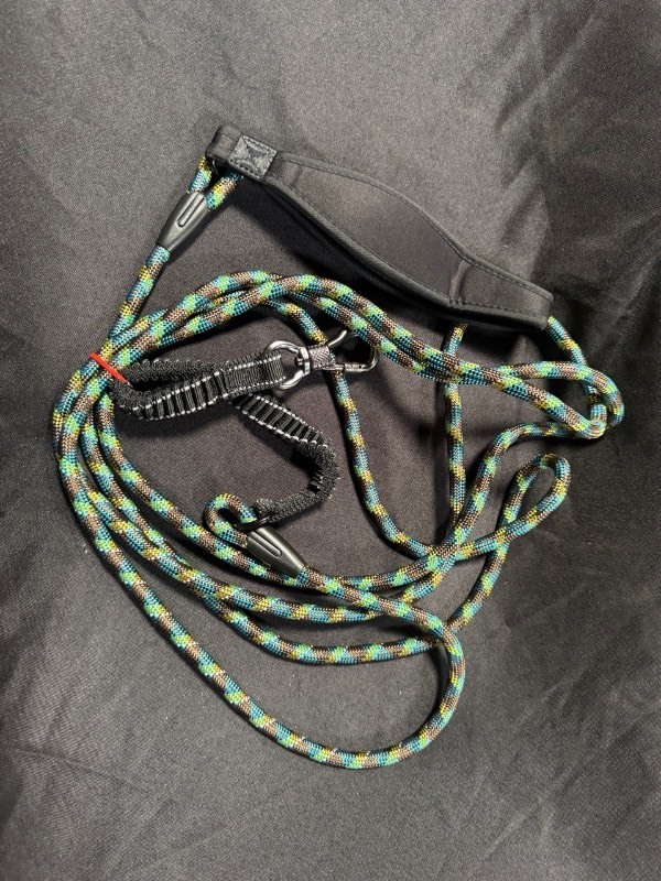 lot 5386062 image: Dog leash - Retail $32