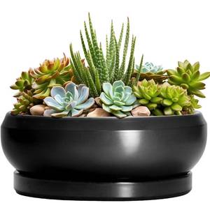 lot 4404 image: Succulent Planters 8 Inch - Ceramic Bonsai Pots for Indoor Outdoor, Round Succulent Pots with Drainage Hole and Saucer, Modern Shallow Planter Bowl, Garden Home Decor, Birthday Gifts, Black
