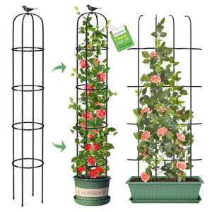 lot 4545 image: Tower Obelisk Garden Trellis for Climbing Plant 6.2FT74.4 Rustproof Metal Potted Plant Climbing Support for Indoor Outdoor Flowers Vegetable Fruits Vines Support 1pcs