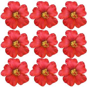 lot 4671 image: Arvintas 20PCS Red Hawaiian Faux Flowers Hibiscus Flowers Hawaii Party Summer Party DIY Foam Hibiscus Flower for Tabletop Decoration Favors Supplies (No Clip)