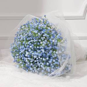 lot 4726 image: Dolicer 5 Pcs Babys Breath Artificial Flowers, Blue Long Stem Baby Breath Flowers Artificial Bulk, Real Touch Fake Babys Breath Gypsophila for Wedding Bridal Bouquet Party Arrangements Home Decor