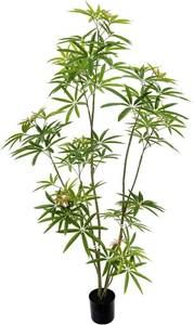 lot 142061 image: Retails for $140 Aalonfale 6ft Artificial Umbrella Tree - Realistic Faux Umbrella Tree IndoorOutdoor, UV Resistant Fake Plant for Home, Office, Patio Decor