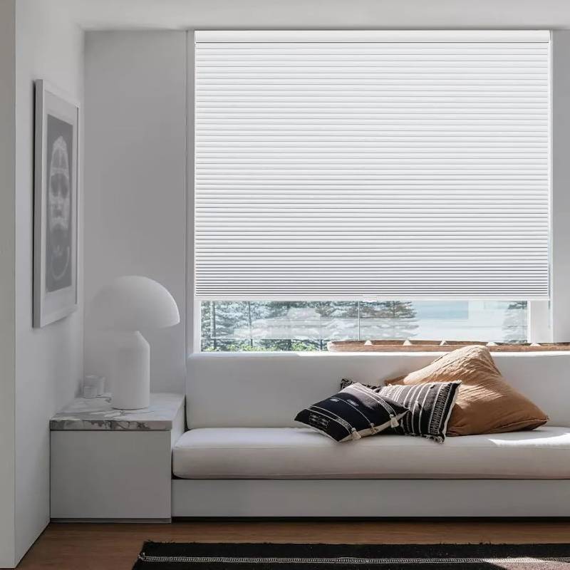 lot 171152 image: Changshade Size Customized Cellular Shades,Cordless Blackout Honeycomb Shade with The Diameter of 1.5 Inch Honeycombs for Office,Living Room,Bedroom,Thermal Insulated,White,CMC-CEL-WT-A