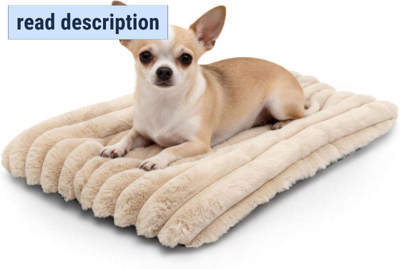 lot 471264 image: Bed for Crate or Cage fits Medium Dogs, Fluffy Comfy Flat Cat Beds for Indoor Cats Washable, Medium Dog Bed Cat Carrier Pad Ultra Soft Kennel Mat for Pet Sleeping Cushion, Beige