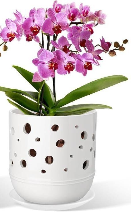 lot 411250 image: Set of 1 Orchid Pot, Orchid Pots with Holes, Orchid Pots for Repotting, Ceramic Flower Pots with Drainage and Tray, Planters for IndoorOutdoor Plants - White