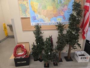 lot 9256 image: Holiday Decor Set - Artificial Trees and Valentines Decor