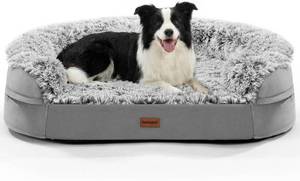 lot 2405 image: $58 3.7-Inch Thickened Orthopedic Dog Bed for Large Dogs, 28D Foam