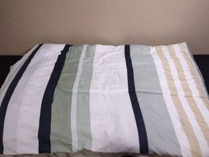 lot 355 image: Striped King Size Comforter - has a couple of small light stains on it, no guarantee would come out but potentially