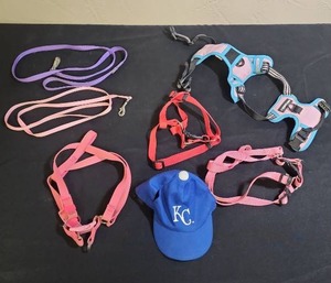 lot 416 image: Pet Harnesses and leashes for small to medium dogs (KC hat has ear holes, could be for small dog or for a stuffed animal)