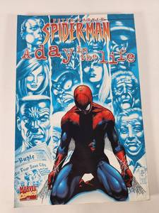 lot 267 image: Spider-Man A Day in the Life TPB