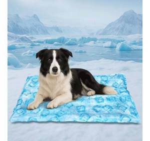 Cooling Pad for Large Dog, Instant Pet Cool Mat, Comfortable Cool Pet Mat for Cat. Portable Dog Bed for Summer. Suitable for Outdoor Summer Crate Pad. Long Time Cooling. Ice Brick 45x29inch - Retail: $30