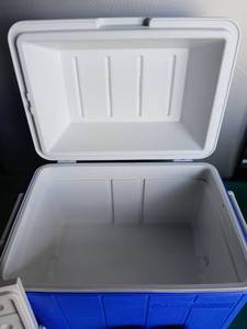 lot 9122 image: Coleman Blue Cooler Set with Cup Holders and Tumblers