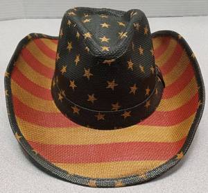 lot 3369 image: Pugs American Flag Cowboy Hat
