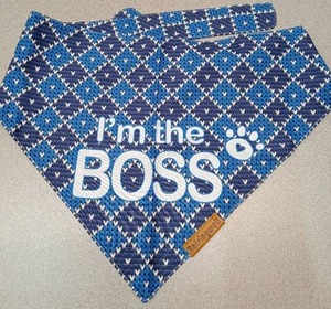 lot 4001 image: Raisingwell Birthday Bandanas 2 Pack,  Reversible Blue and Pink for Boy and Girl Dogs, Triangle Scarf (X-Large)