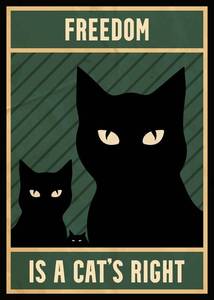 lot 4117 image: Freedom Is A Cats Right Framed Wall Art Print