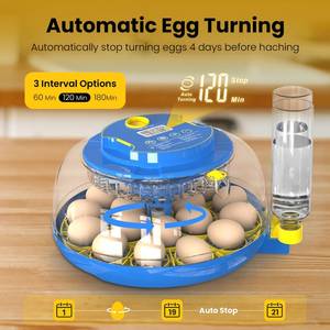 KANAD Incubators for Hatching Eggs, 18 Egg Incubator with Automatic Turning and Humidity Control, Dual Trays & Auto Water Refill, 360° View Incubator for Chicken, Duck, Quail Eggs - Retail: $60