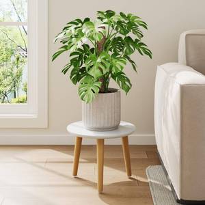 lot 4538 image: Leaf&lull Plant Stand Indoor Small Plant Table for Large Plants Wood Plant Stool Tall Plant Holder for Living Room Bedroom Balcony -White
