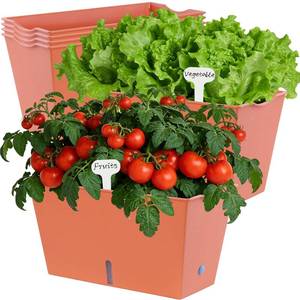 lot 4810 image: Oliz Window Box Planter 6 Pcs, 12.6 Inches Self Watering Rectangle Flower Plant Pots with Drainage Holes & Breathable Trays, Vegetable Planters for Windowsill Patio Garden Balcony Porch Yard (Orange)