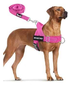 lot 5031 image: SlowTon No Pull Dog Harness and Leash Set for XL Dogs, Escapeproof Adjustable Dog Vest, Soft Padded Reflective Tactical Military Dog Harness, 5.9 Ft Dog Leash Anti-Twist Pet Lead (fuchsia,XL)