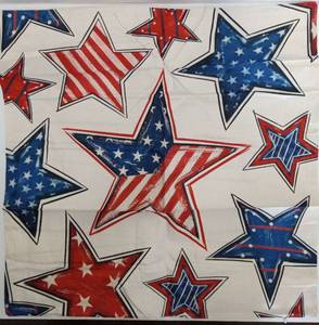 lot 4979 image: Patriotic Star Pattern pillow covers pack of 2