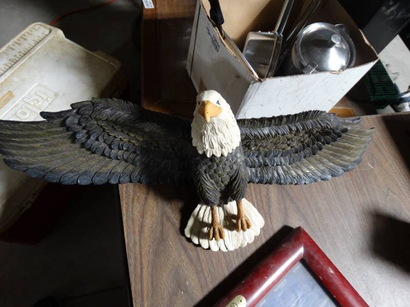 lot 10633 image: Bald Eagle Shelf