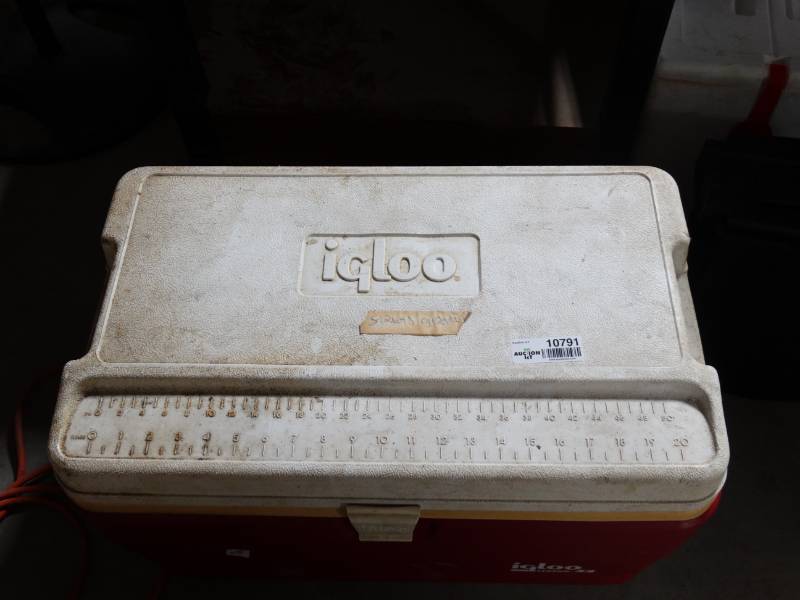 lot 10791 image: Coleman Polylight 48 Cooler