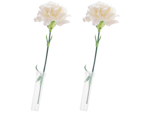 lot 5506 image: TEHAUX 200pcs Floral Water Tubes Essential for Flower Preservation Plant Stem Holders Floral Arrangement Supplies