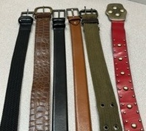 lot 5676 image: Mixed Lot of 6 Leather and Canvas Belts (Sizes in Pictures)