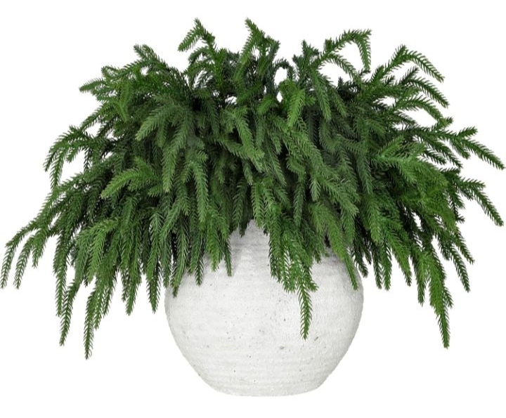 lot 388 image: 12 Pcs Realistic Christmas Pine Branches Natural Droopy Soft Bendable Artificial Pine Stems Picks Lifelike Greenery Stems for Vases Cedar Wreaths Garland Outdoor Indoor Christmas Decorations