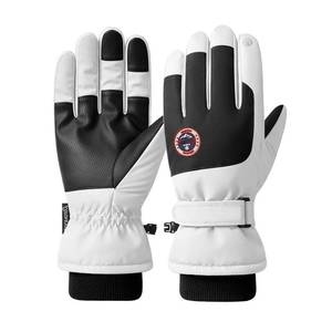 lot 5032 image: Waterproof Ski Snow Gloves for Men Women & Youth Windproof Winter Warm Glove for Dog Walking, Snowboarding, Snowmobile, Ice Scraping, Touch Screen Hand Warming Gloves Cold Weather Ski Trip Essentials