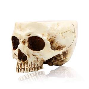lot 5149 image: RMM Halloween Decoration Retro Human Skull Head Flower Pot Planter Bed Box Container Replica Home Bar D�cor,Clear