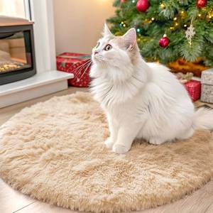 lot 5210 image: OLANLY Beige Round Rugs for Bedroom - Machine Washable, 2 ft Circle Area Rugs for Living Room, Soft and Fluffy Shaggy Carpet for Teen Girls and Boys, Nursery Rooms, Dorms, Home Decor Aesthetic