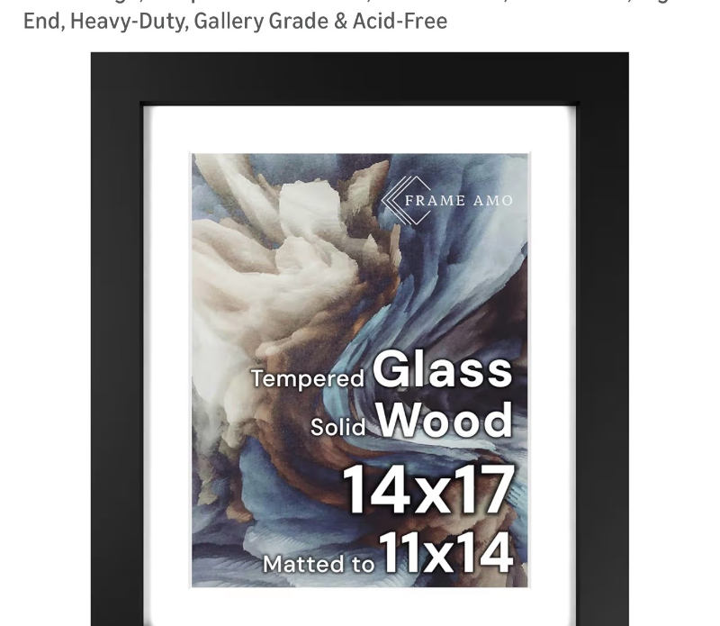 lot 2742 image: Frame Amo 14x20 frame  - Retail $0